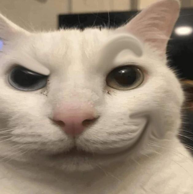 𝕮𝖍𝖆𝖙 𝖉𝖔 𝕯𝖜𝖛𝖎𝖟𝖝