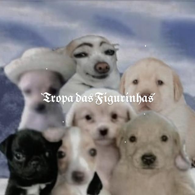 TROPA DAS FIGURINHAS