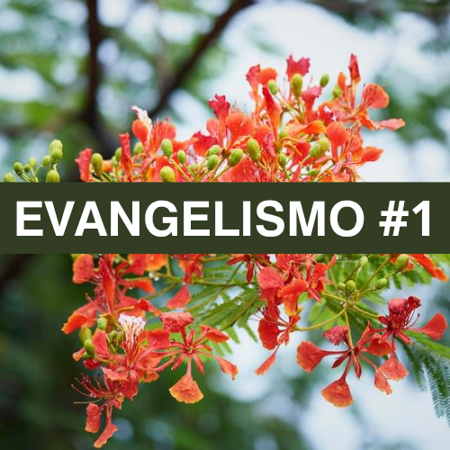 Logo do grupo EVANGELISMO #1