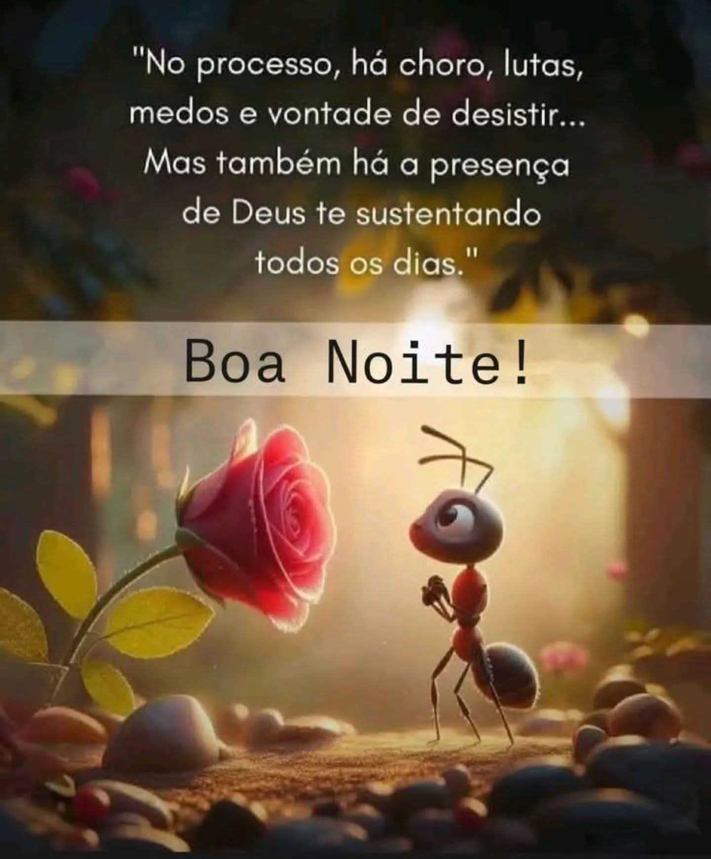 AMIZADE 100 FRONTEIRA 🥰❤️