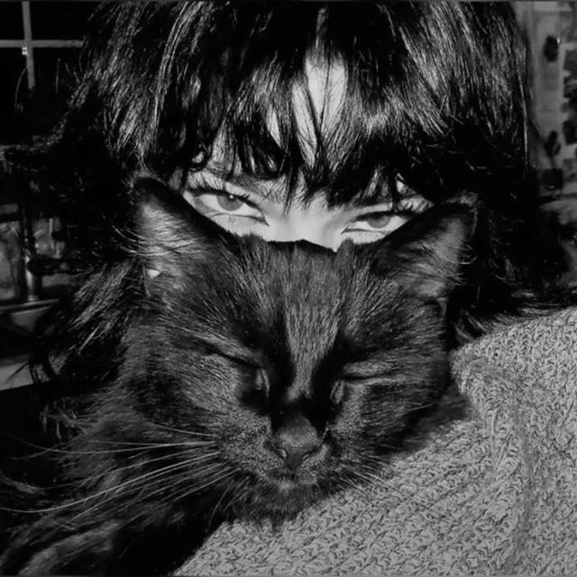 ᯓ𝑩𝒍𝒂𝒄𝒌 𖤐 𝑾𝒉𝒊𝒔𝒌𝒆𝒓