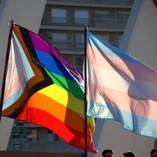 𝑭𝒂𝒎𝒊𝒍𝒊𝒂 𝑳𝑮𝑩𝑻𝑸𝑰𝑨𝑷𝑵+ 🌈🏳️‍🌈 𝑩𝑹 🇧🇷✨️