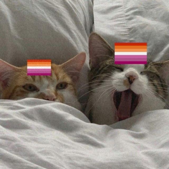 girls lesbians 🧡🤍🩷