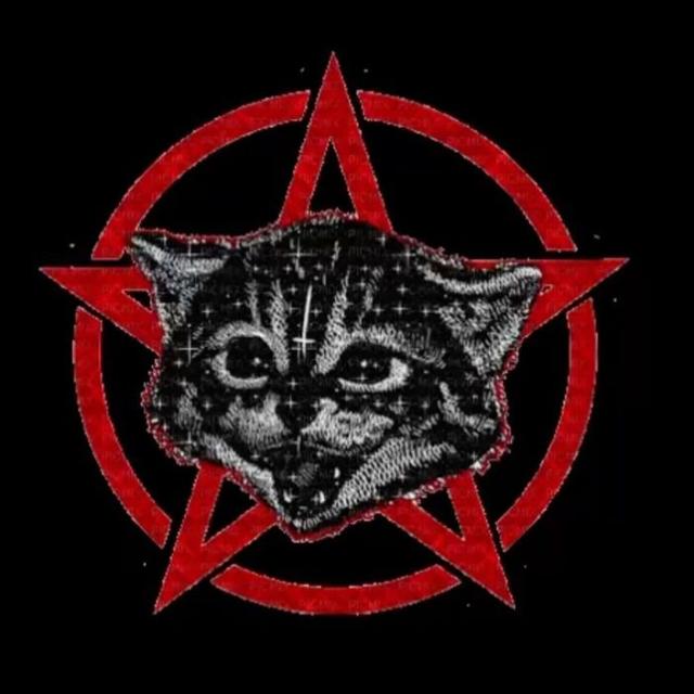 Logo do grupo 𝕸𝖎𝖉𝖓𝖎𝖌𝖍𝖙 𝕮𝖎𝖗𝖈𝖑𝖊 ⛧